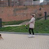 300. edycja parkrun Zamek w Malborku