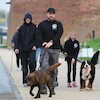 300. edycja parkrun Zamek w Malborku