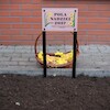 Pola Nadziei powstały przy malborskim szpitalu